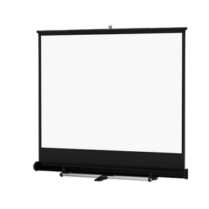 10′ Floor Model Cradle Screen – Front Projection (10×10′)